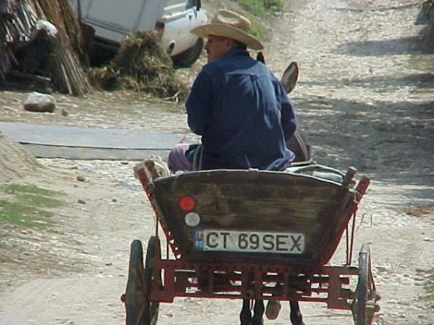 Saorma - 2612164494671651320911114573085n.jpg